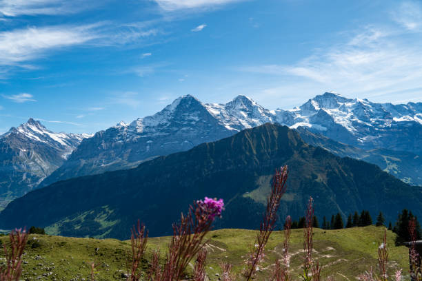 view on eiger, mönch and jungfrau from schynige platte - monch sun snow european alps imagens e fotografias de stock