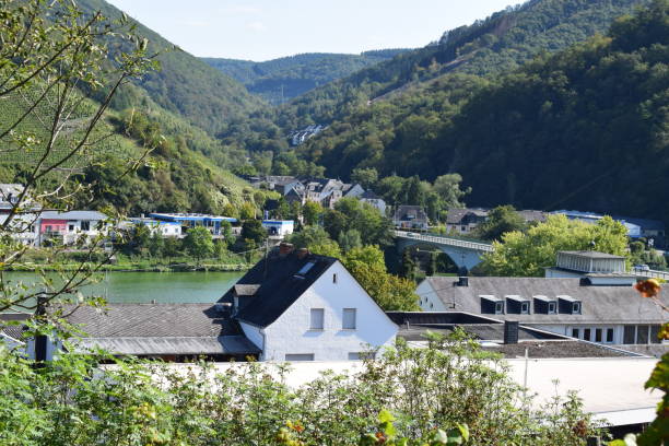 istock view form the vineyard hills down to Zell 1174829530