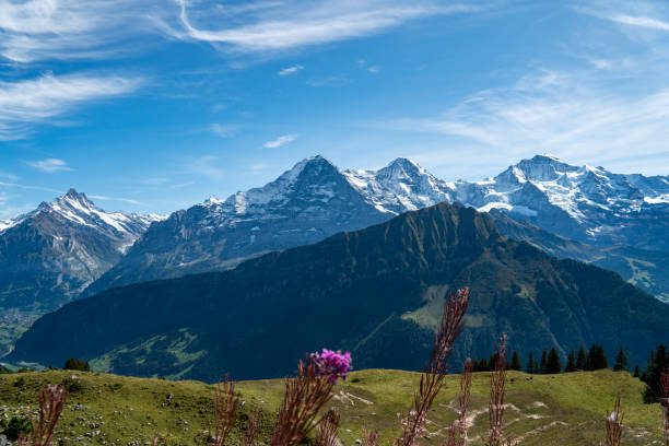 view on eiger, mönch and jungfrau from schynige platte - monch sun snow european alps imagens e fotografias de stock