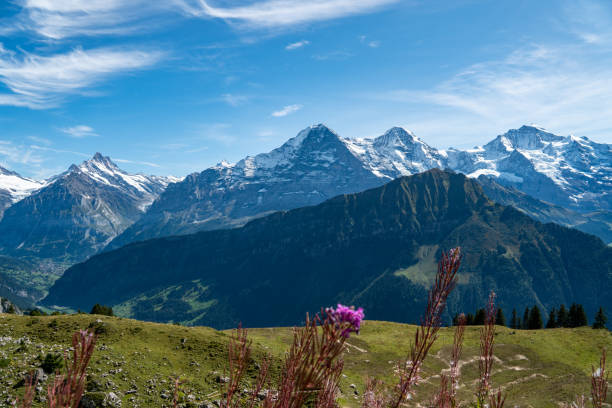 view on eiger, mönch and jungfrau from schynige platte - monch sun snow european alps imagens e fotografias de stock