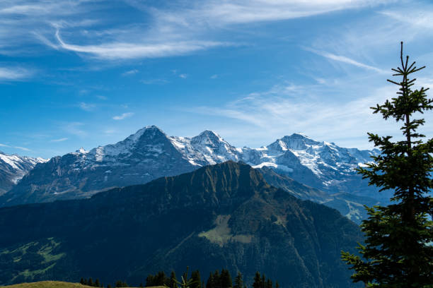 view on eiger, mönch and jungfrau from schynige platte - monch sun snow european alps imagens e fotografias de stock