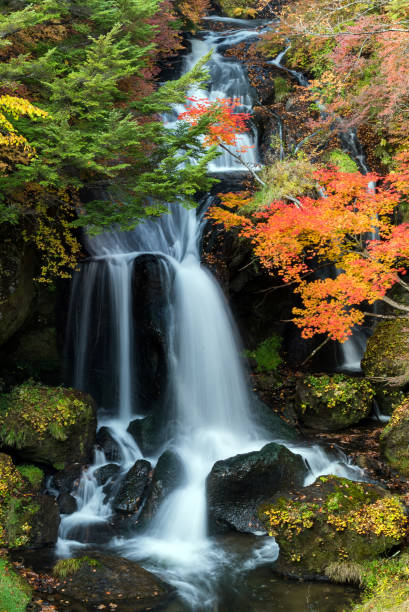 istock Ryuzu Waterfall Autumn forest Nikko Japan 1174829867