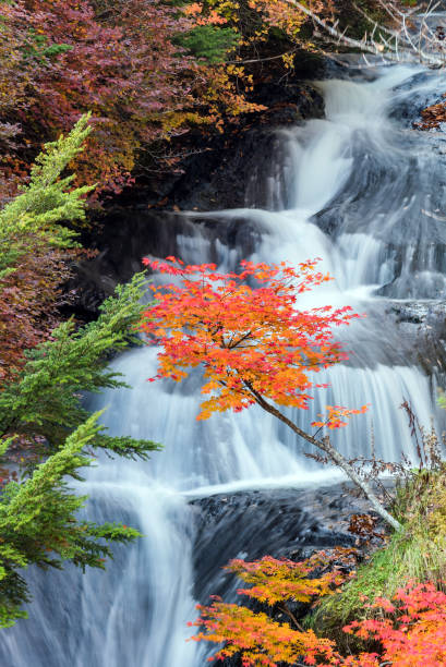 istock Ryuzu Waterfall Autumn forest Nikko Japan 1174829932
