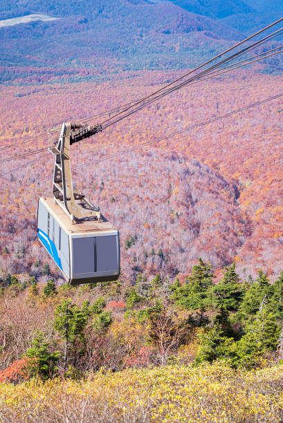 Aerial view Autumn Woodland forest Japan Aerial view of red leaf autumn fall season for Forest woodland From Hakkoda Mountain with Hakkoda Ropeway in Aomori Tohoku Japan hakkoda mountain range stock pictures, royalty-free photos & images