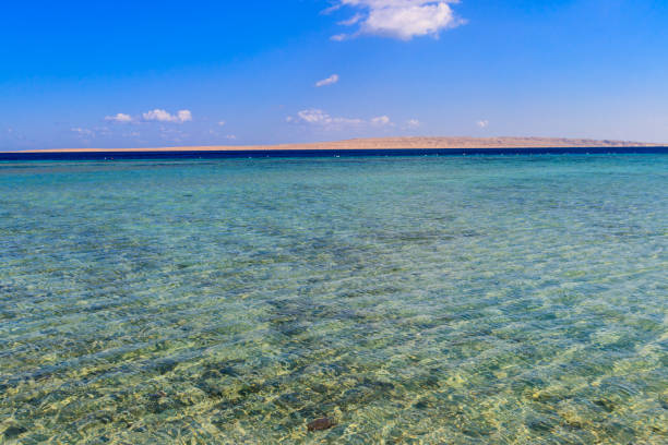 istock View on the Giftun island in Red sea, Egypt 1174830924