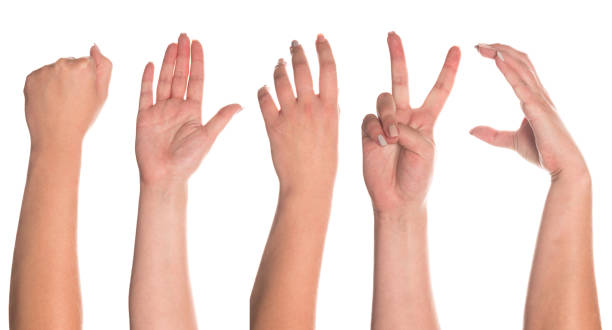 istock Set of woman's hand measuring invisible items 1174830983