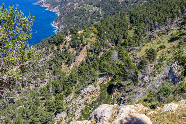 istock Coast in the north of Mallorca 1174831855