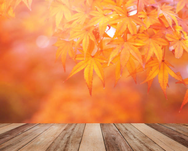 istock Wooden table top over red maple leaves in autumn. 1174832737