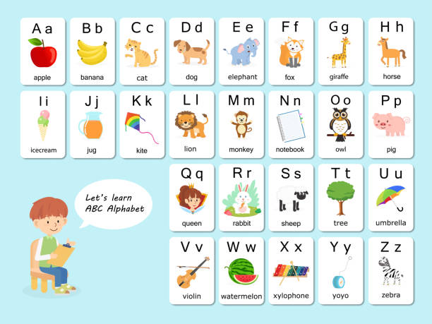 ilustrações de stock, clip art, desenhos animados e ícones de english vocabulary and alphabet flash card vector for kids to help learning and education in kindergarten children. words of letter abc to z ,each card isolated on white background. - dictionary alphabet letter text