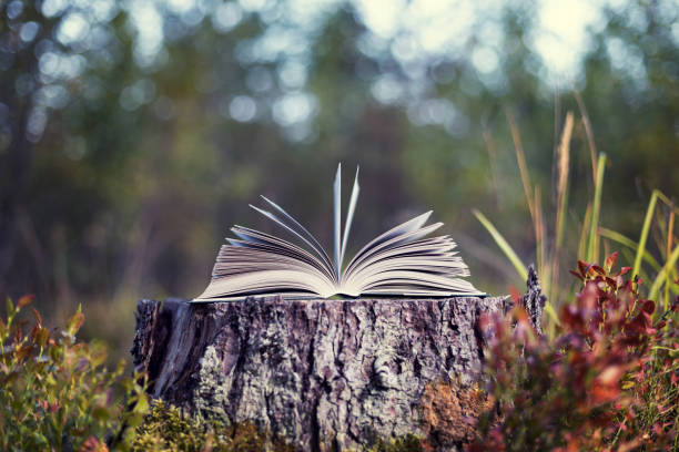 istock An open book lies on a stump in the forest. 1174834597