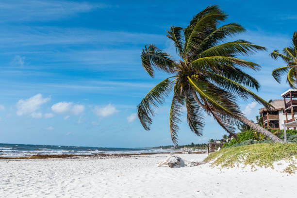 istock Tulum, Yucatan, Riviera Maya. 1174834613