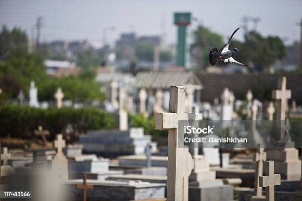 Vida Na Morte - Fotografias de stock e mais imagens de Acabado - Acabado, Arte e Artesanato - Arte visual, Cemitério