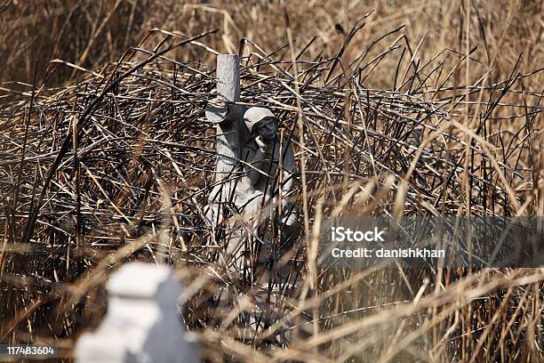 Vandalised Mary Stock Photo - Download Image Now - Afterlife, Angel, Art And Craft