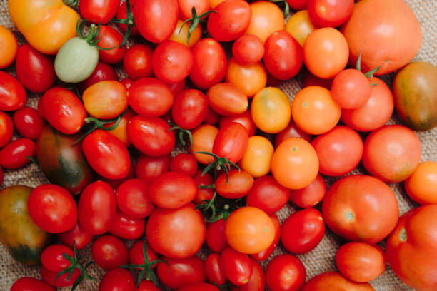 istock many yellow and red cherry tomatoes on a canvas background 1174836504