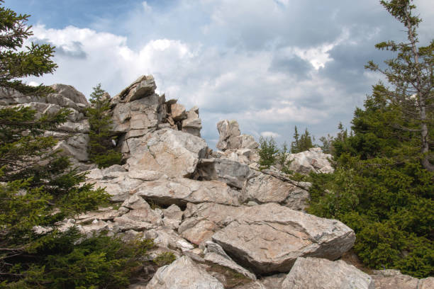 istock mountain landscape on a summer day 1174838895