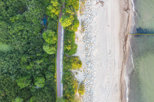 istock bicycle path between the sea and mangroves 1174838923
