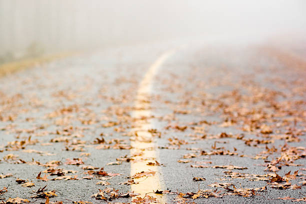 istock park's road in fog 117484080