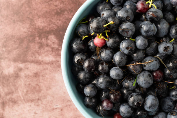 istock Bowl of freshly picked wild blueberries on a maroon background. 1174843326