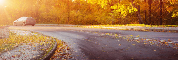 istock asphalt road with beautiful trees 1174844715