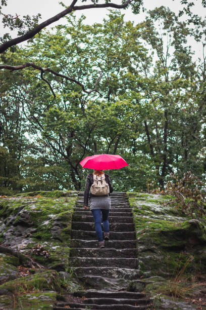 istock Woman backpacker exploring mystery forest at rainy day. 1174844816