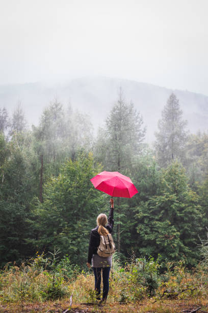 istock Enjoyment of nature in mist forest. 1174844849