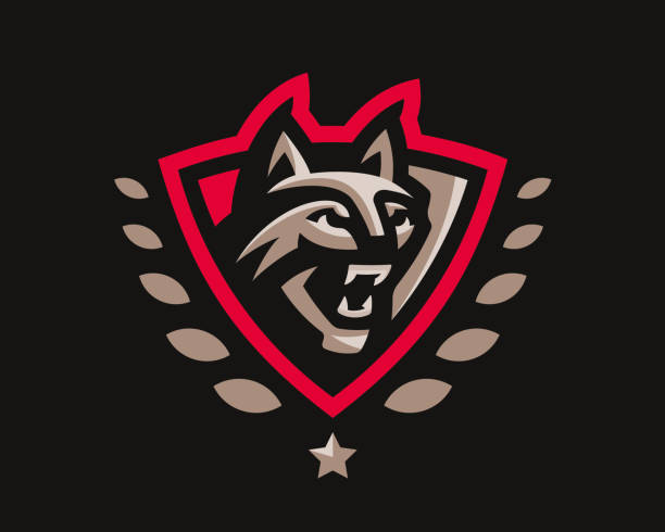 ilustrações de stock, clip art, desenhos animados e ícones de wildcat modern logo. lynx design emblem template for a sport and esport team. - bobcat wildcat undomesticated cat animal