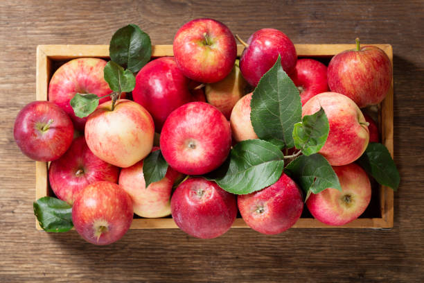 istock fresh apples with leaves in a wooden box, top view 1174848345