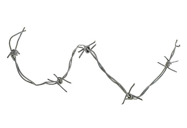 istock Security barbed wire fence isolated on a white background 1174849446