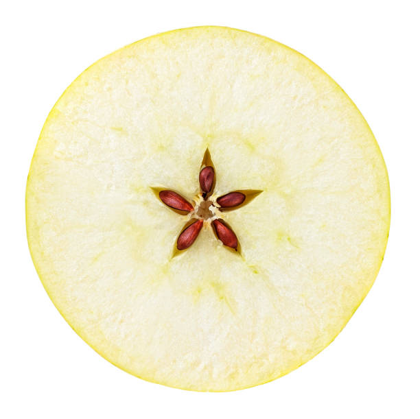 istock Yellow apple slice isolated on a white background, top view. 1174849507