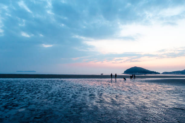 istock Beautiful landscape by the beach during sunset. 1174849565