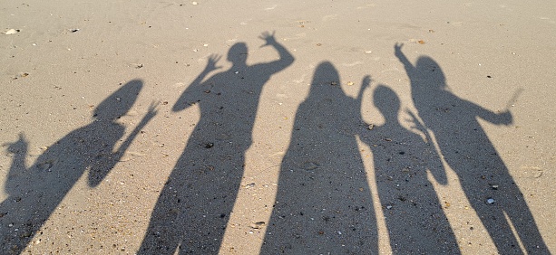 Family shadow games