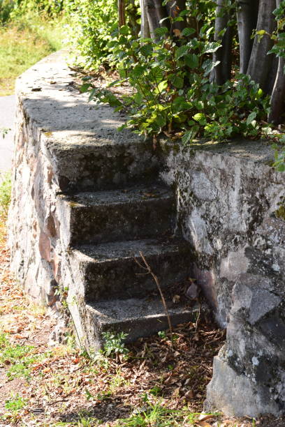 istock little stairway into vineyard 1174852468