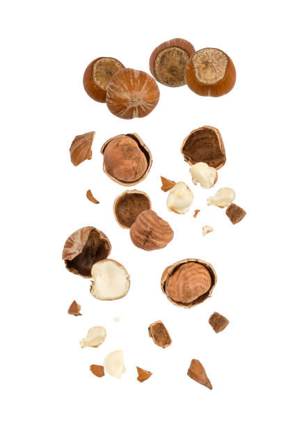 istock Cracked hazelnuts close-up isolated on white background 1174853230