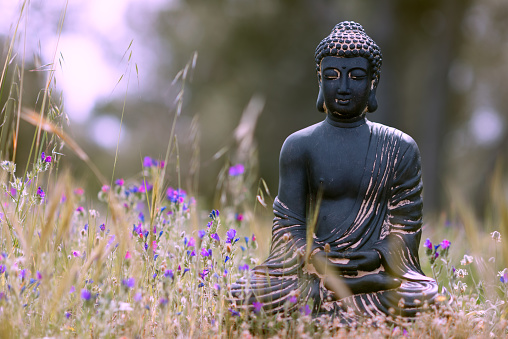 Buddha statue in the grass - meditation pose - cross processed