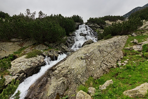 Wild mountain creek, Pirin Mountains, Bulgaria. Cloudy and mostly rainy day, huge stone blocks and dwarf pines around stream.