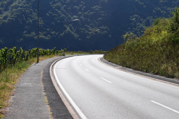 istock road along vineyards 1174853800