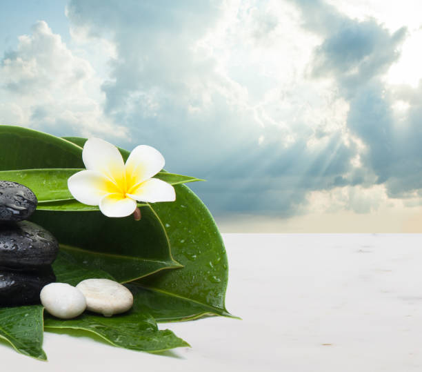 istock Flower, leaves and stones for massage therapy. Spa healthy conce 1174854342