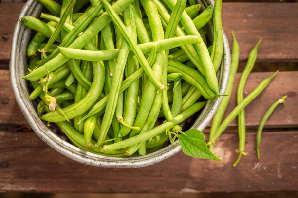 istock Fresh and raw green beans in an old aluminum pot 1174855106