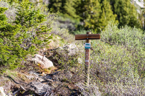 wegweiser für linkins lake trail auf trailhead am independence pass in felsigen bergen im frühsommer 2019 in colorado - linkins lake trail stock-fotos und bilder