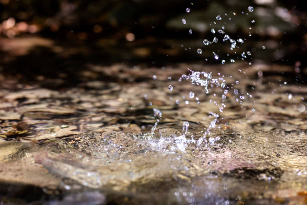 drop of water causing ripples in still lake of water