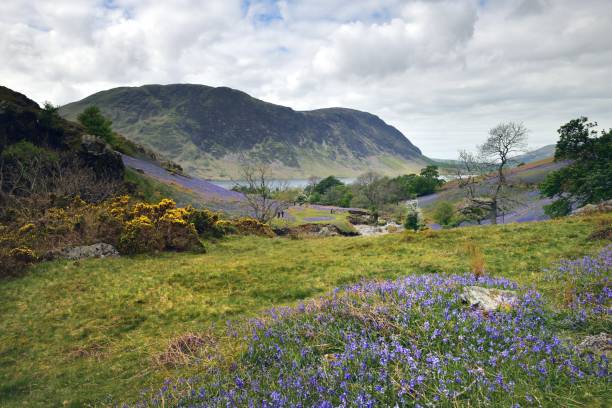 istock Tourists and the Rannerdale Blue Bells 1174863214