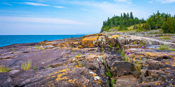 istock Orange Lichen and Grey stones in Ontario, Canada 1174863232