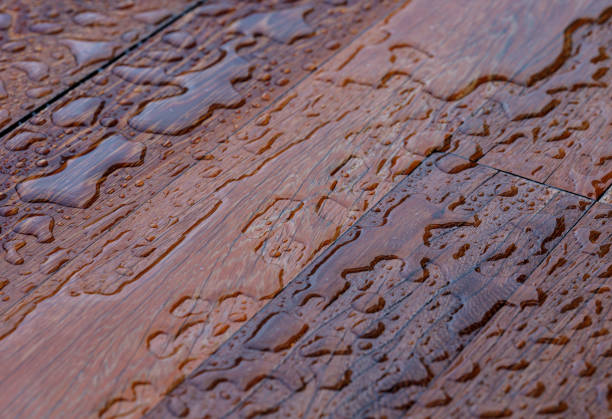 istock Wooden planks bathed in the rain 1174864141