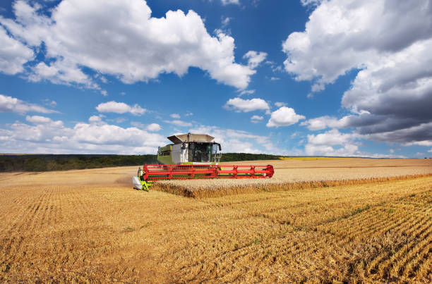 istock Combine harvester in action on wheat field. 1174864346