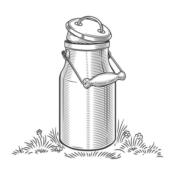 Milk can sketch Milk can vector sketch. Hand drawn traditional dairy graphic with metal jar with milk for diet, eco and healthy vintage designs milk jug stock illustrations