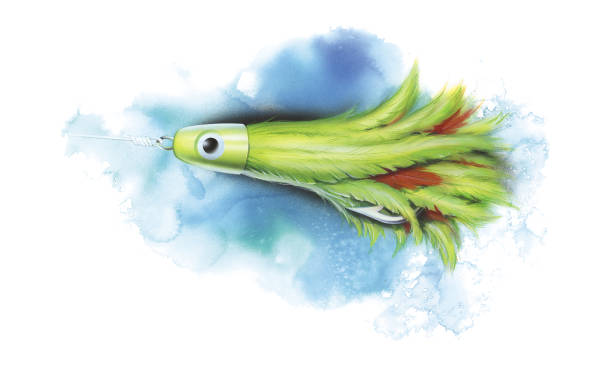 fishing lure watercolor lure fishing hook illustrations stock illustrations
