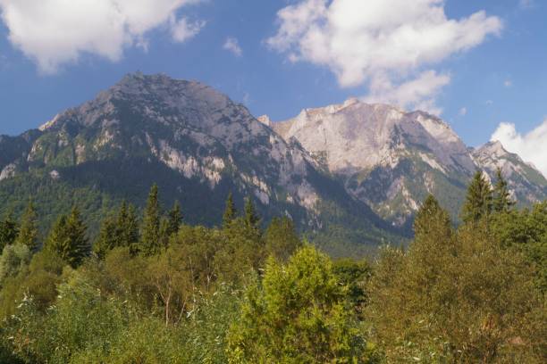 istock Carpathian Mountains, Bucegi Mountains, Busteni, Prahova, Romania 1174866096