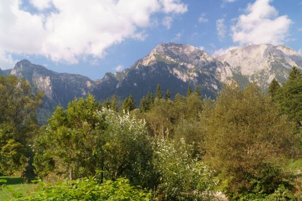 istock Carpathian Mountains, Bucegi Mountains, Busteni, Prahova, Romania 1174866115