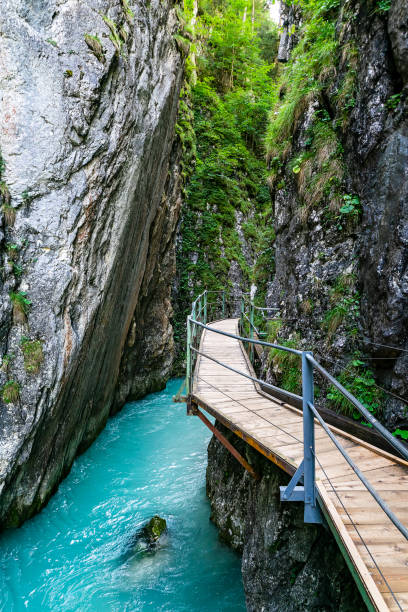 istock Trip to Leutasch to the ghost gorge 1174867348