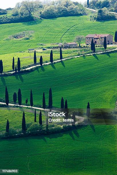 緑色のタスカニー - イタリアのストックフォトや画像を多数ご用意 - イタリア, イタリア文化, カラー画像